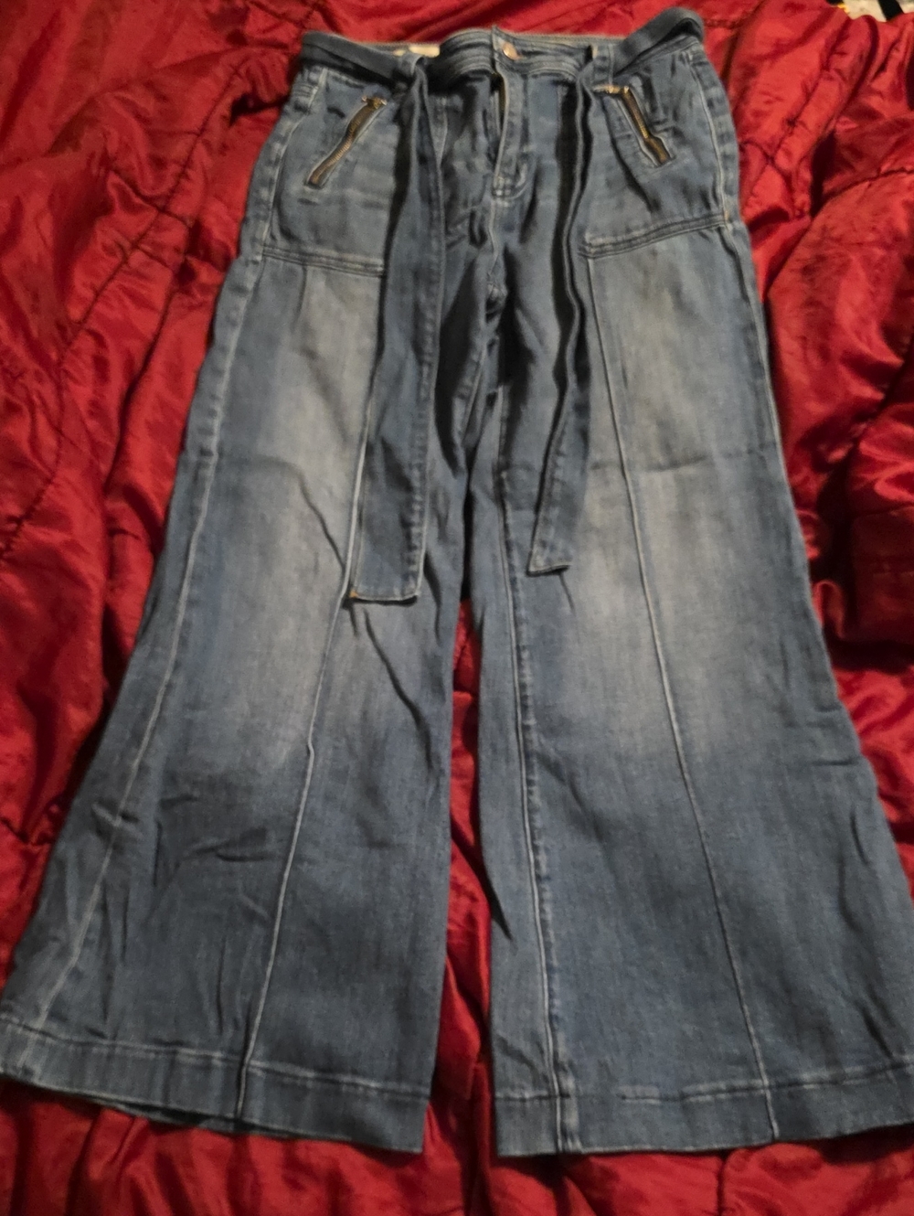 Anthropologie Pilcro And The Letter Press Wide-Leg Jeans with Tie Waist